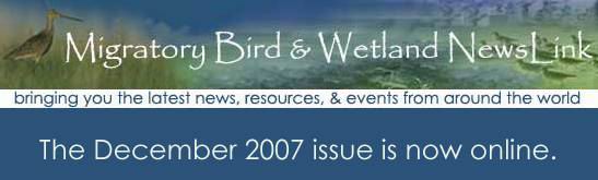 migratory_bird_wetland_newslink.jpg