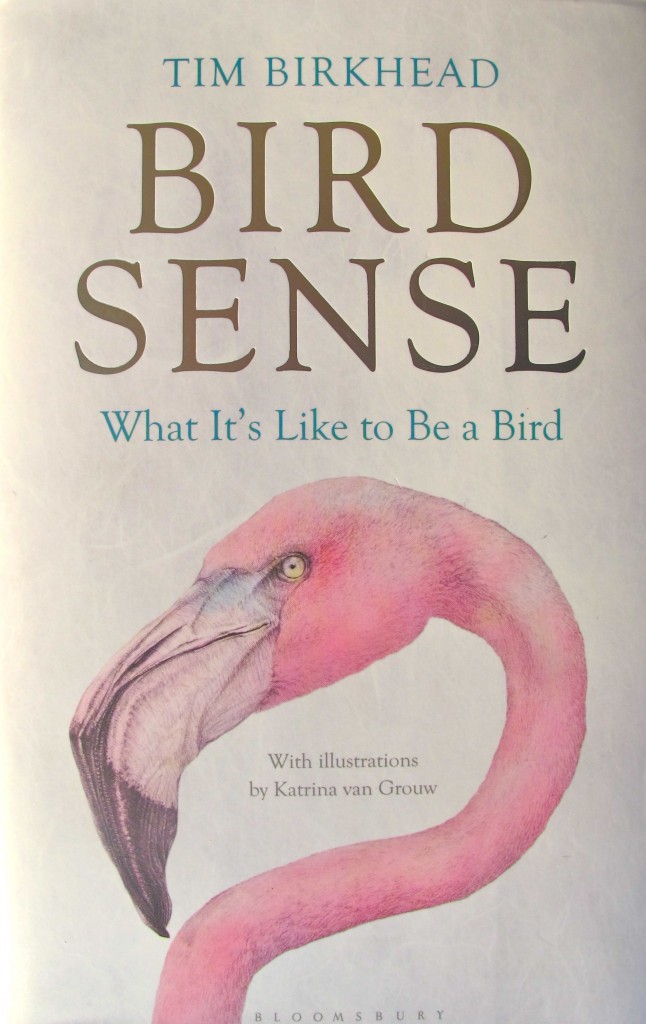 Bird Sense by Tim Birkhead.jpg