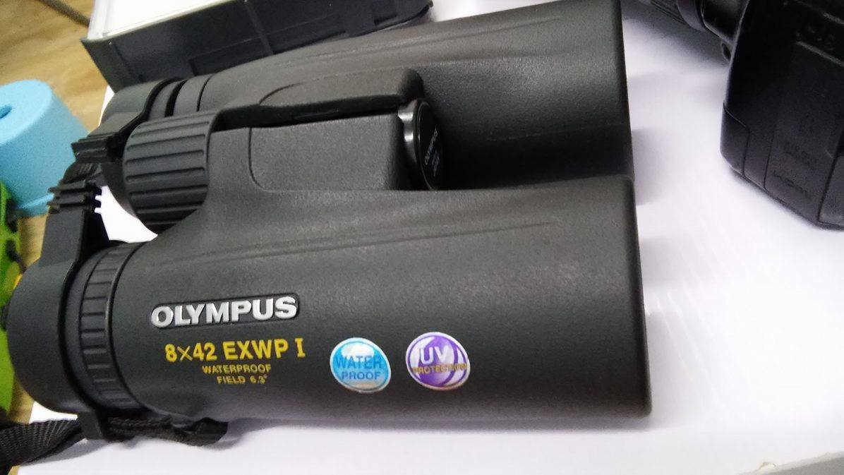 オリンパス OLYMPUS 10×42 EXWP I インターネットサイト - www