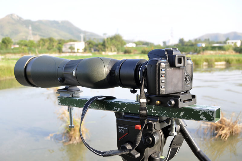 digiscoping_DSC0049.jpg