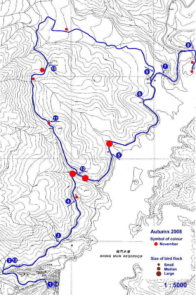 02_200811_shingmun.jpg