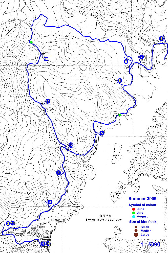 02_200906-08_shingmun.jpg