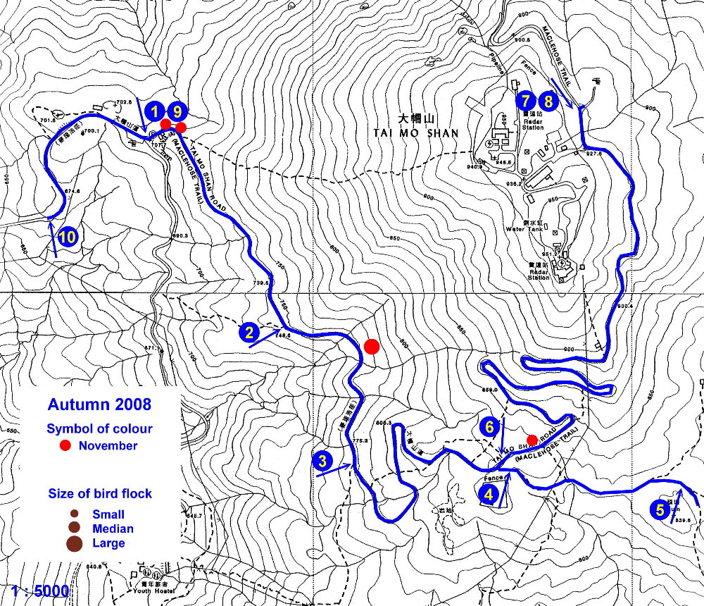 03_200811_taimoshan.jpg