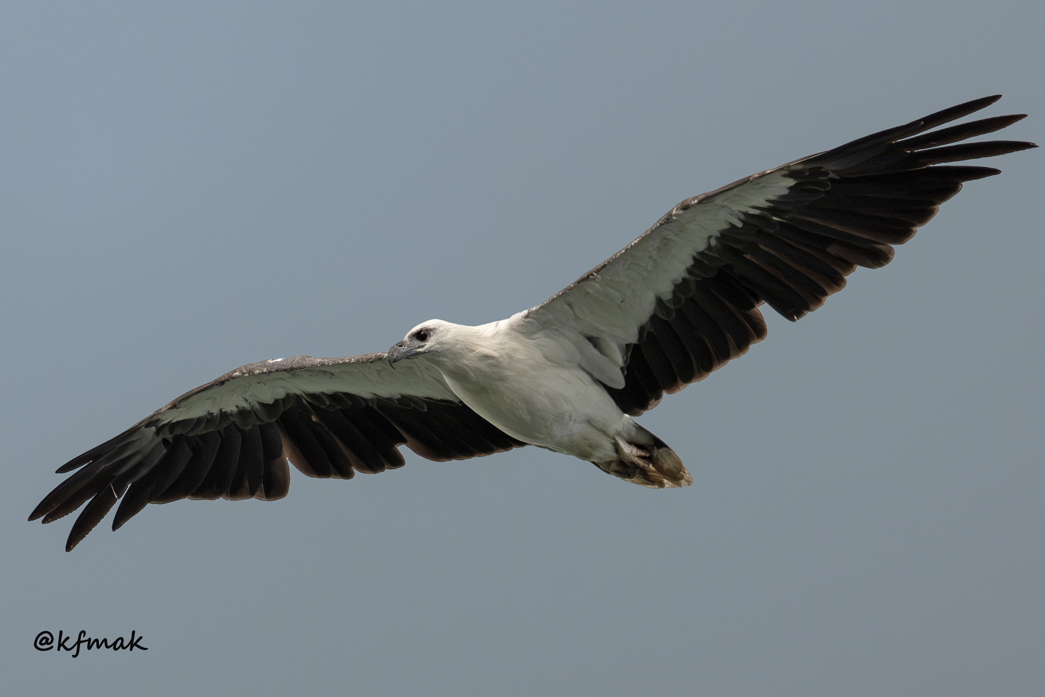 A004-2F.jpg