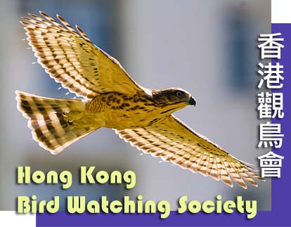 HKBWS logo