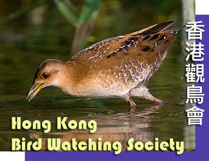 HKBWS logo