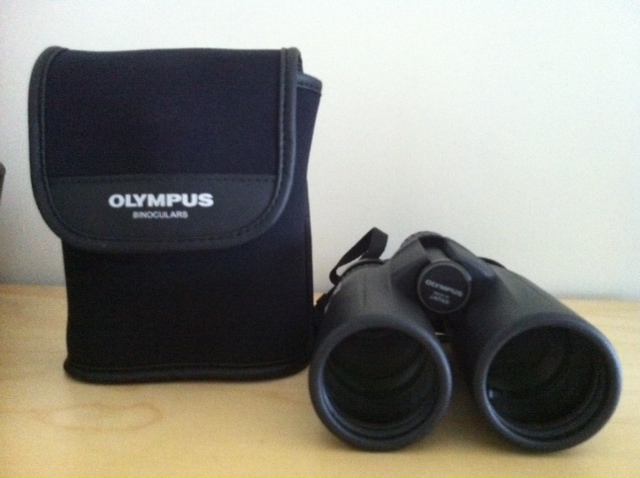 Olympus2.JPG