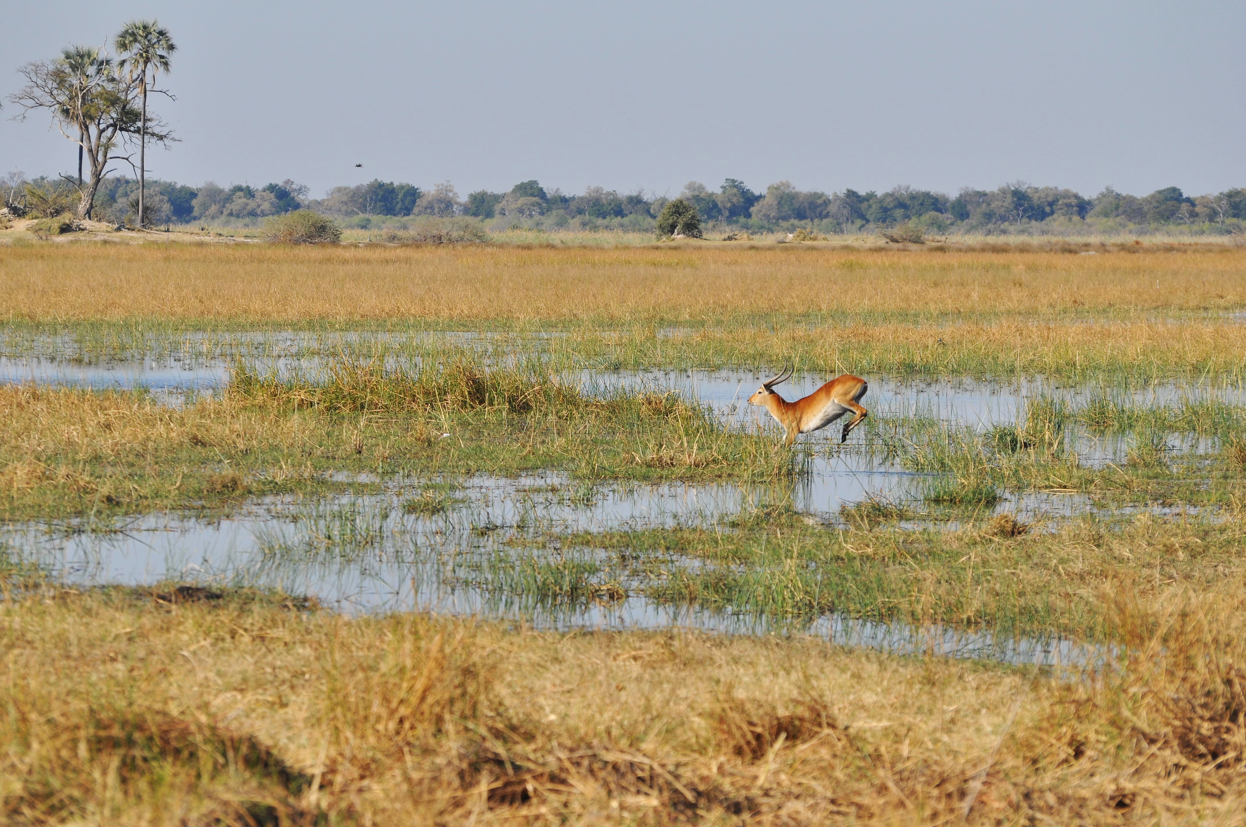 13Aug_BWA SelindaM_047.jpg