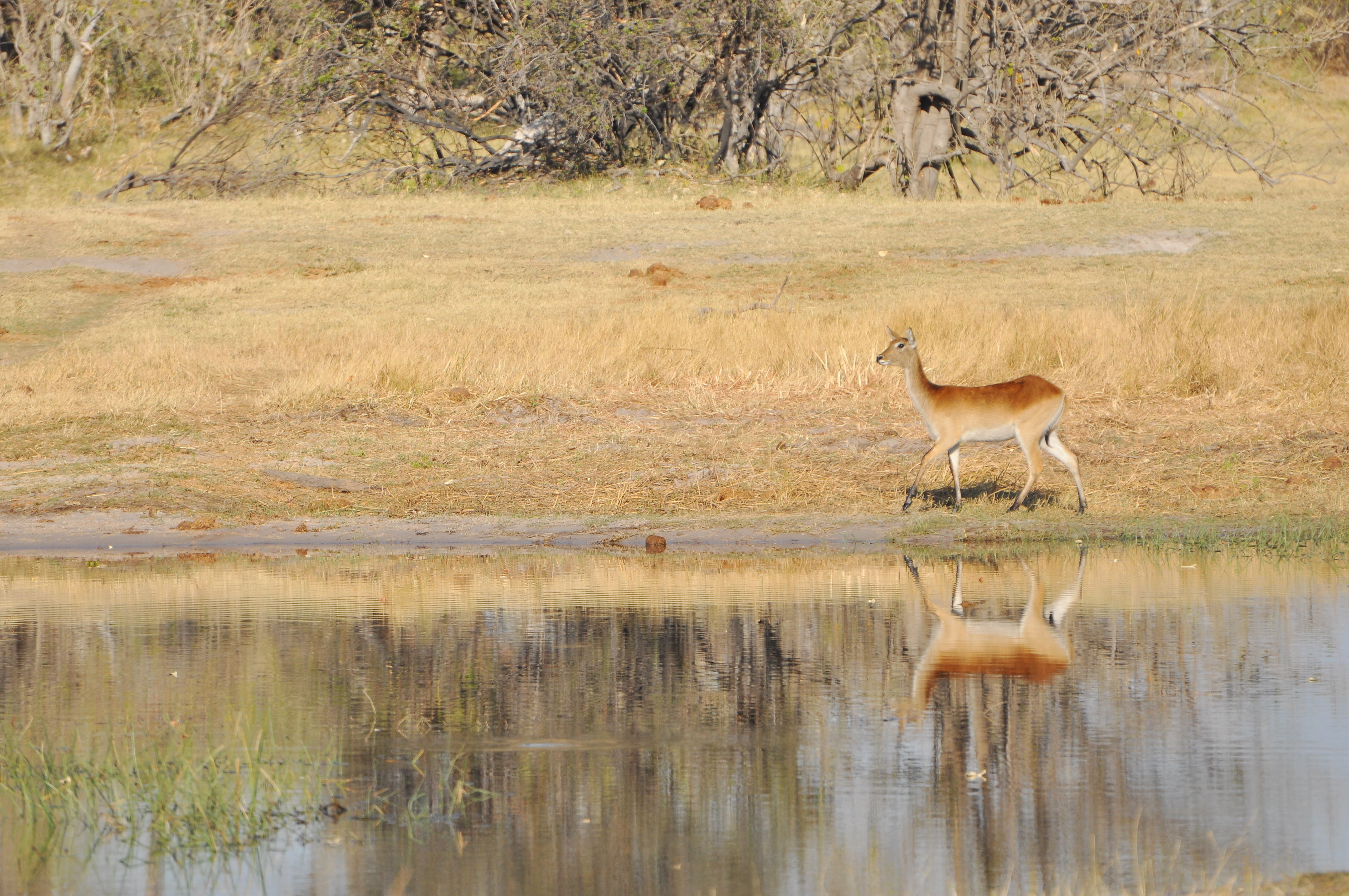 13Aug_BWA SelindaM_052.jpg