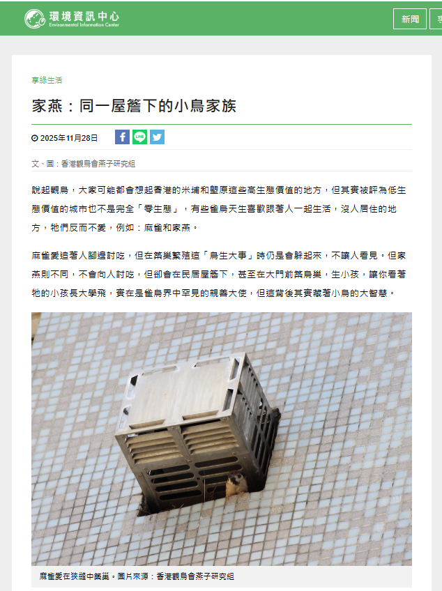 2025-1126_家燕：同一屋簷下的小鳥家族 _ 環境資訊中心.png