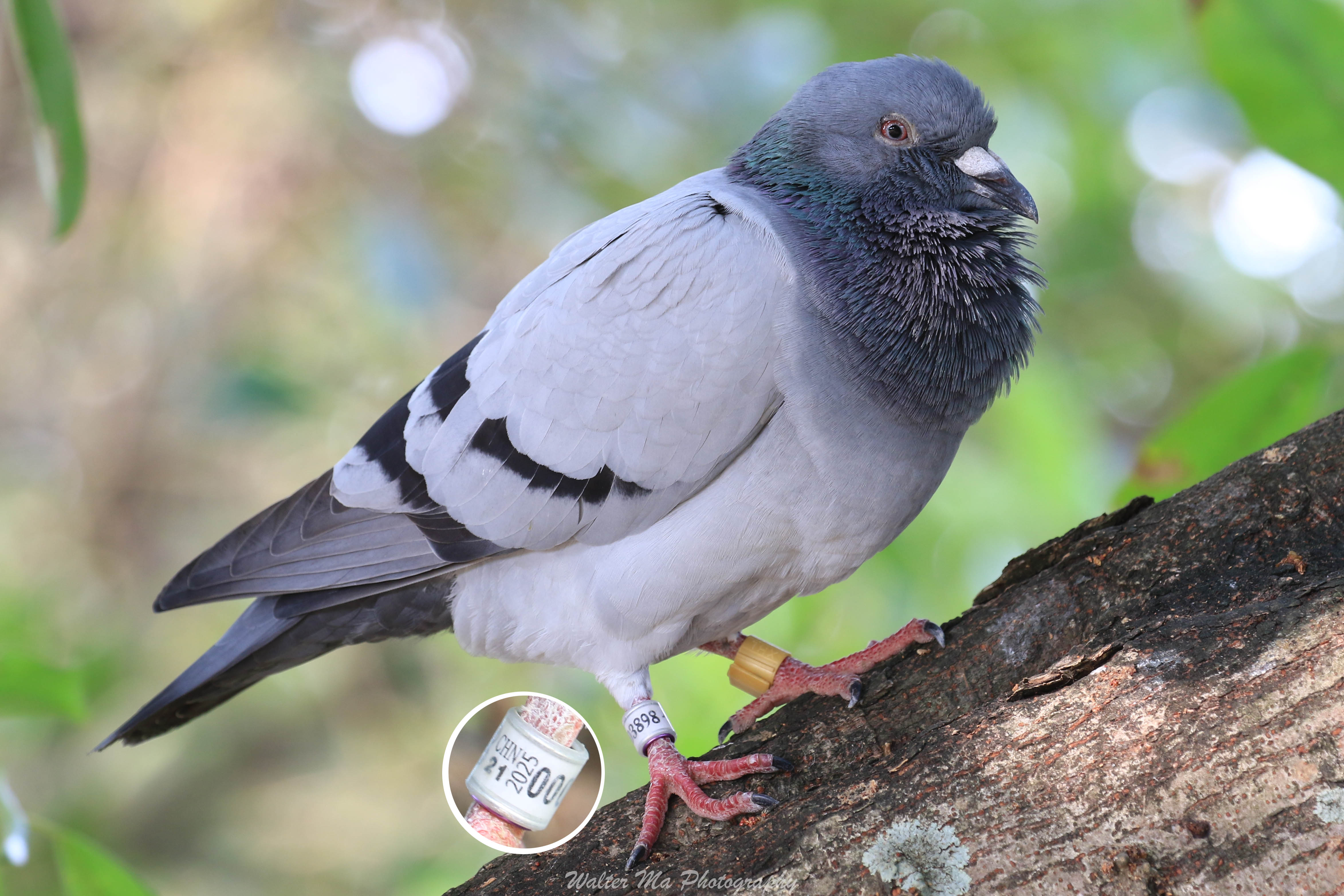 WAL_4545 2025-21-0003898a.jpg