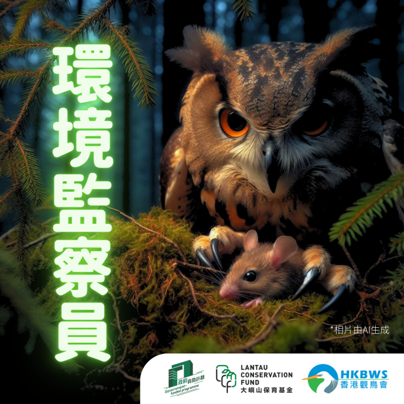 環境監察員 — 貓頭鷹 Owls - Important “Indicator Species”