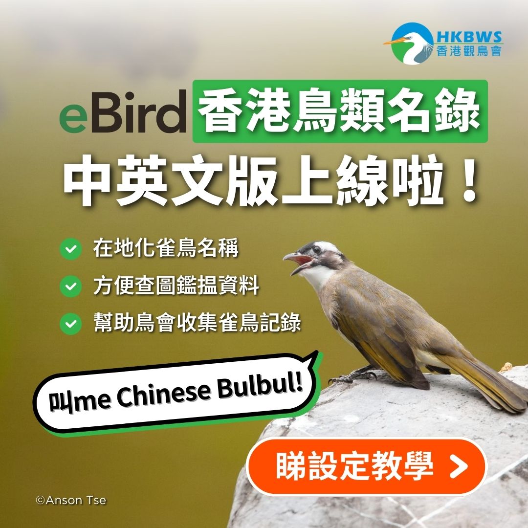 eBird Hong Kong Language pack is officially online!