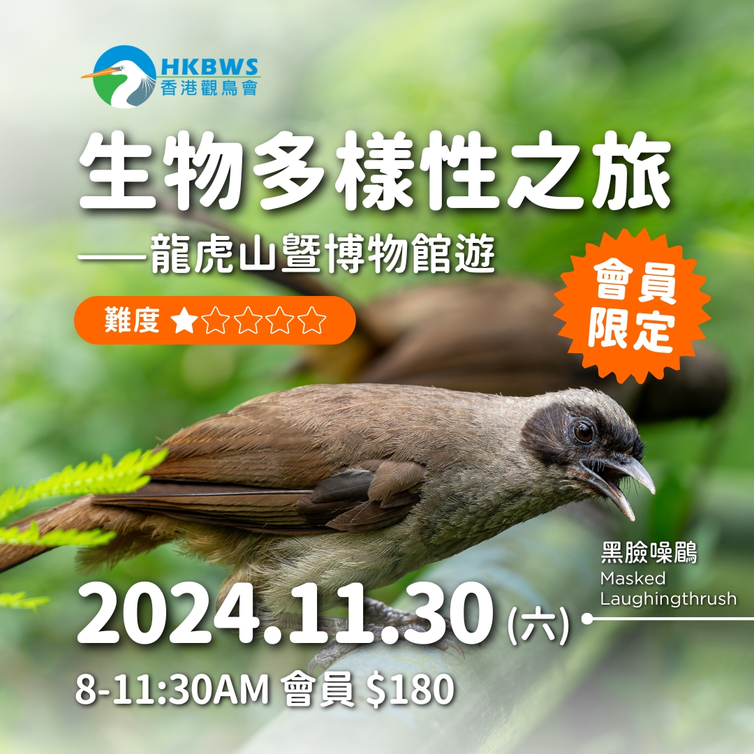 【會員同樂日】生物多樣性之旅——龍虎山暨博物館遊