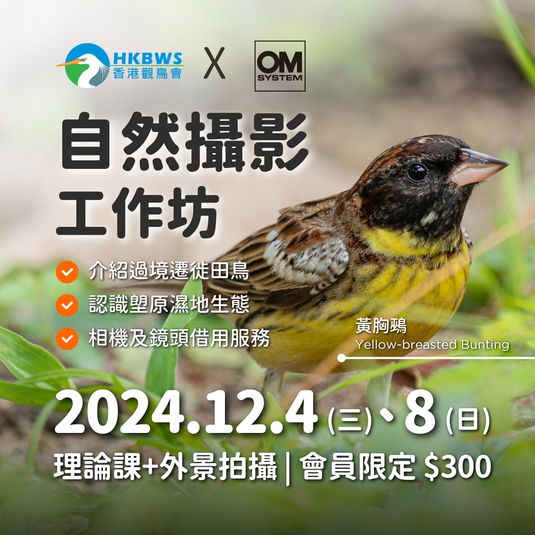 【會員限定】OM SYSTEM X 香港觀鳥會 自然攝影工作坊 