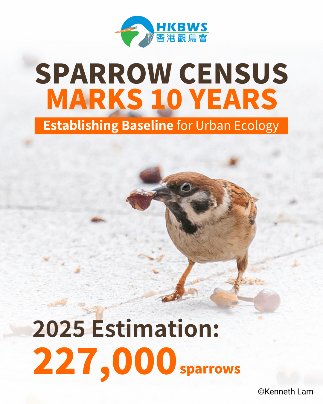 [Hong Kong Sparrow Census 2025] Census Marks 10 Years:  Establishing Baseline for Urban Ecology with over 2,600 Citizen Science Participations