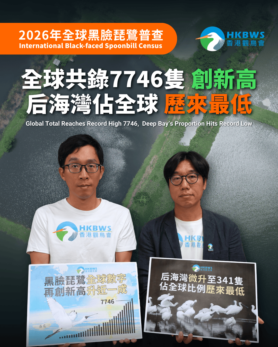 2026年全球黑臉琵鷺普查:黑臉琵鷺全球共錄7746隻創新高 后海灣佔全球歷來最低