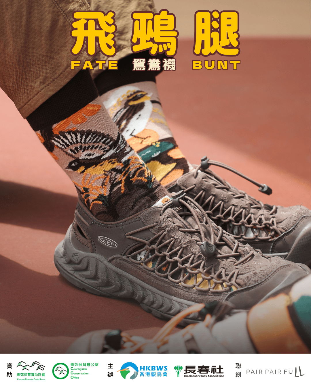 202605 YBB sock 4