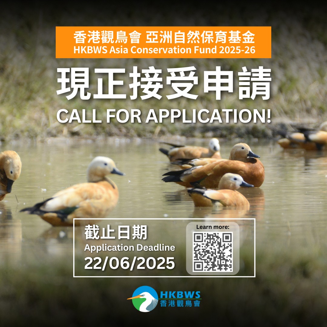 香港觀鳥會亞洲自然保育基金2025-2026現正接受申請 HKBWS Asia Conservation Fund 2025-2026 applications are now open