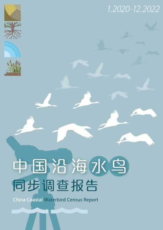 中國沿海水鳥同步調查報告2020-2022出版！