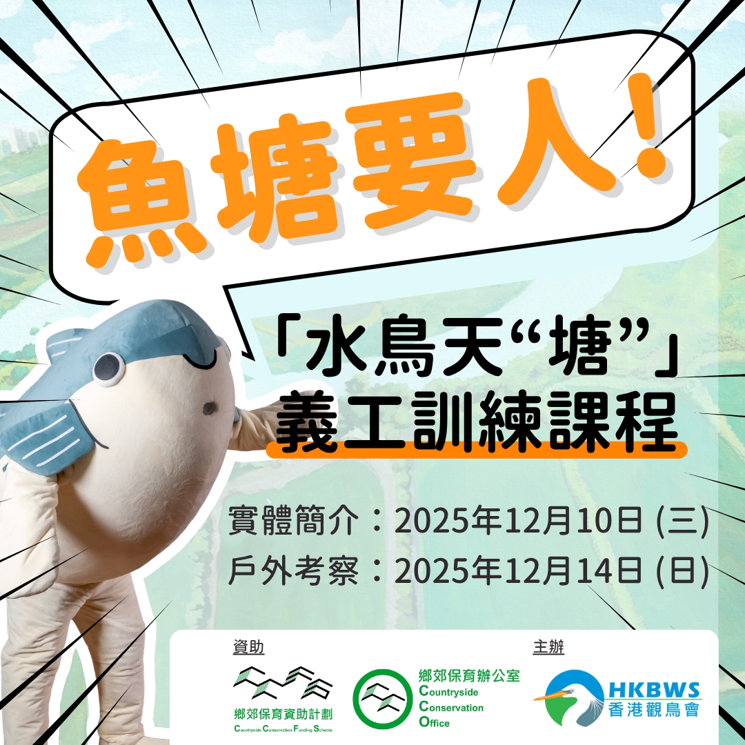 20251114 Fish Pond Volunteer