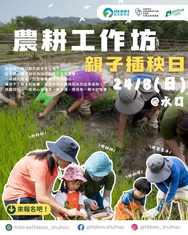 Shui Hau Farming Experience Workshop – Family Rice Planting Day 24/8